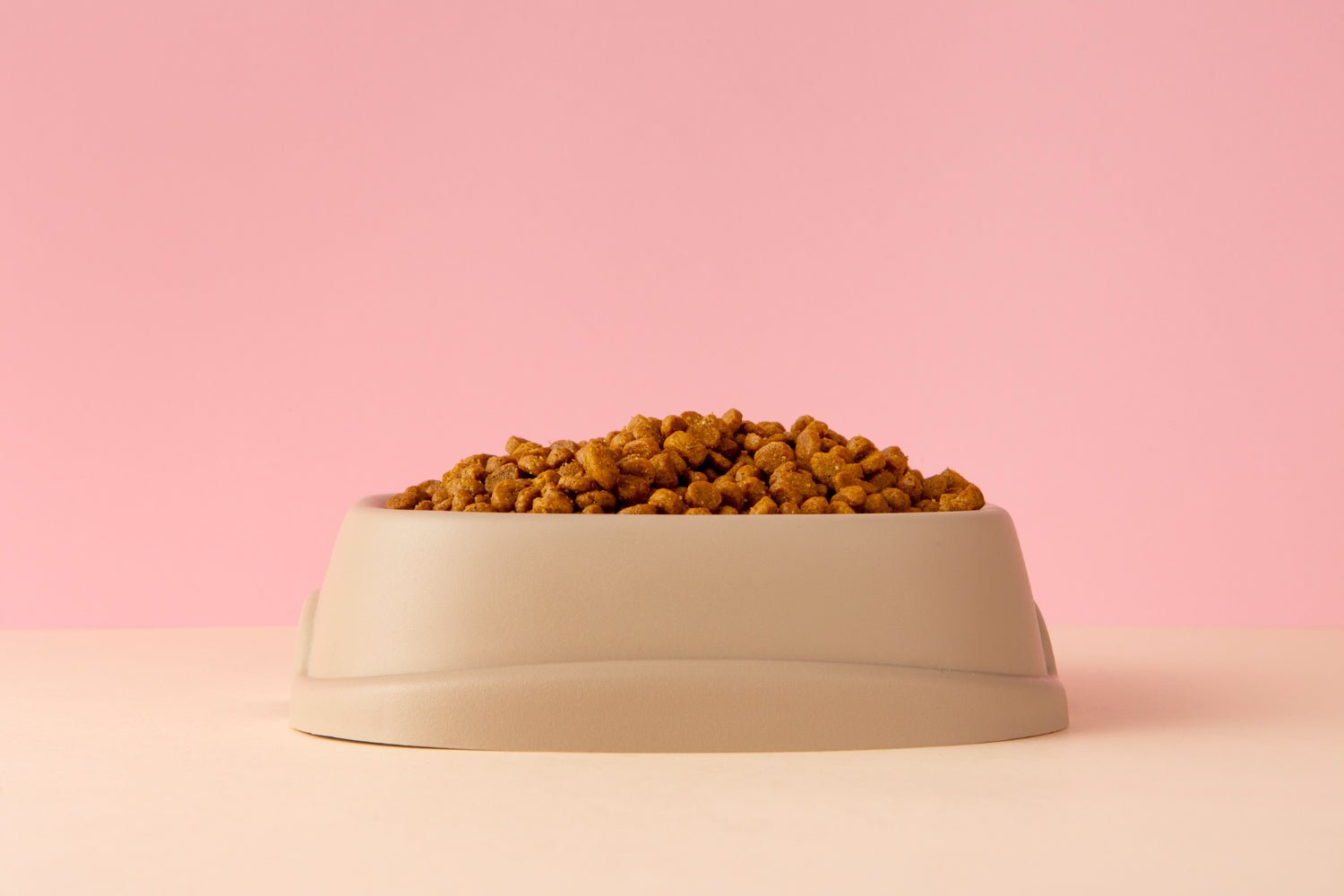 How to Choose the Perfect Dog Bowl — More Than Just a Dish - RANPAW