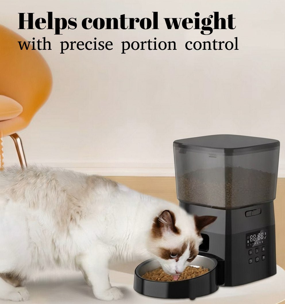 Automatic Pet Feeder - RANPAW