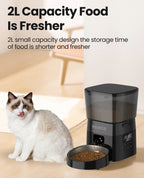 Automatic Pet Feeder - RANPAW