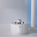 Automatic Water Fountain - RANPAW