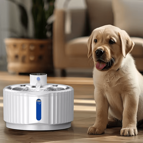Automatic Water Fountain