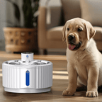 Automatic Water Fountain - RANPAW