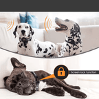 Bark Stop Collar - RANPAW