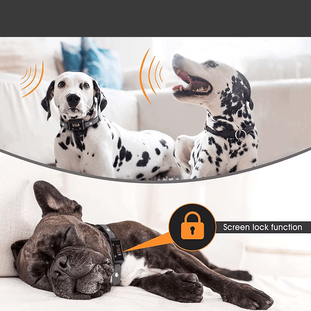 Bark Stop Collar - RANPAW