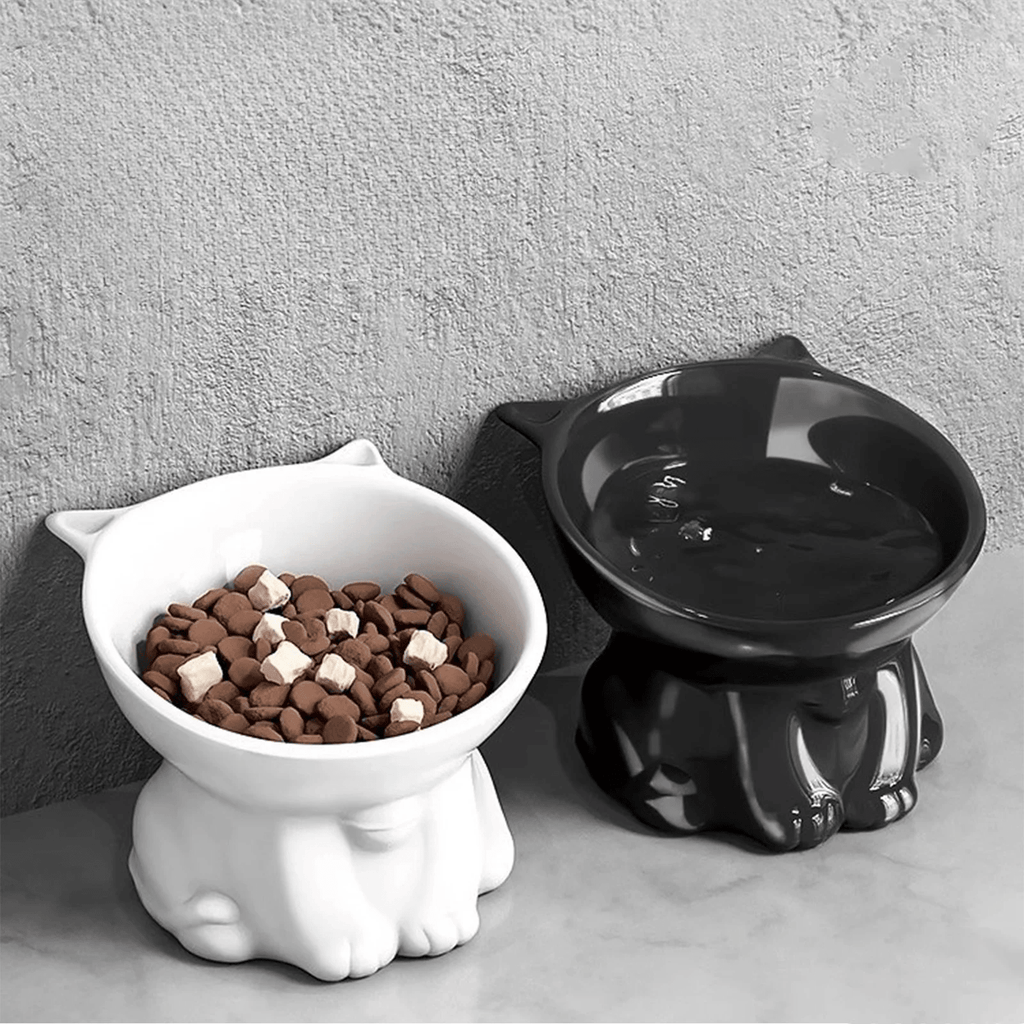 Ceramic Bowl - RANPAW