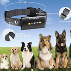 Dog Training Collar - RANPAW