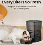 Automatic Pet Feeder