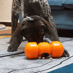 Food Dispenser - RANPAW