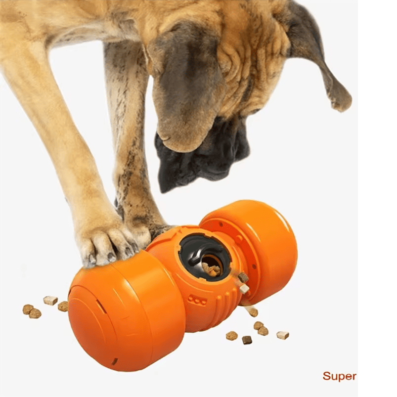 Food Dispenser - RANPAW