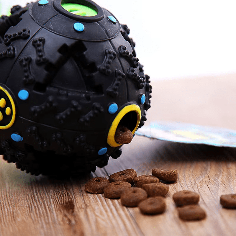 Food Toy Ball - RANPAW