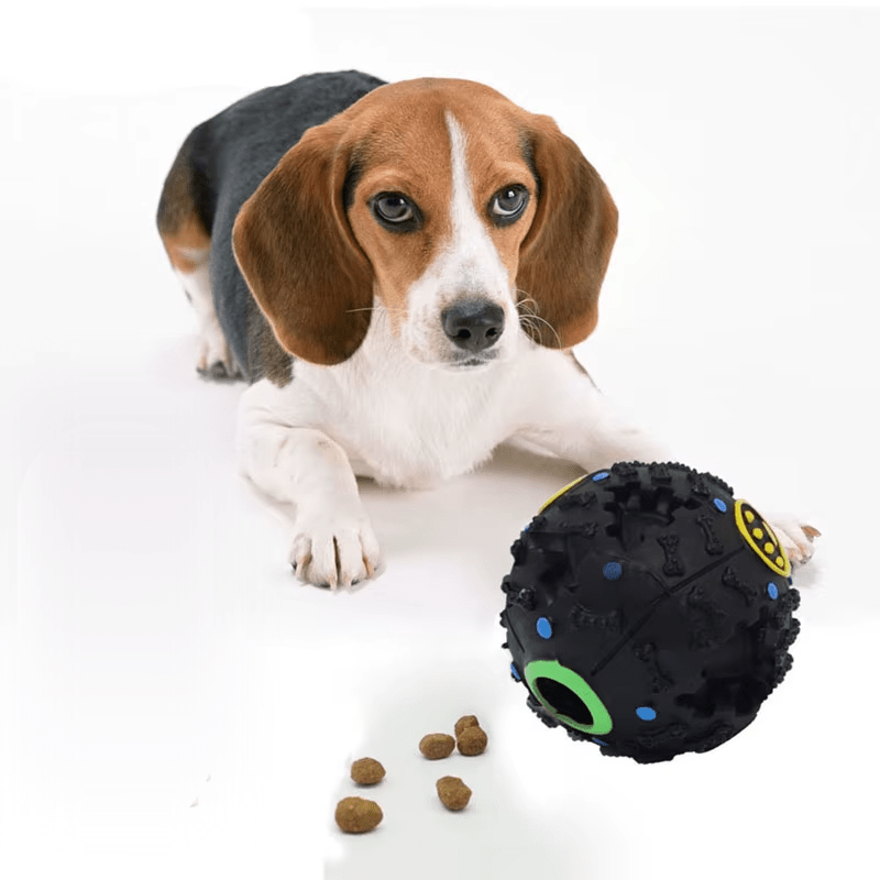 Food Toy Ball - RANPAW