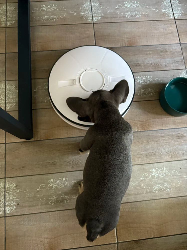 Round Automatic Feeder