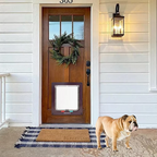 Smart Pet Door