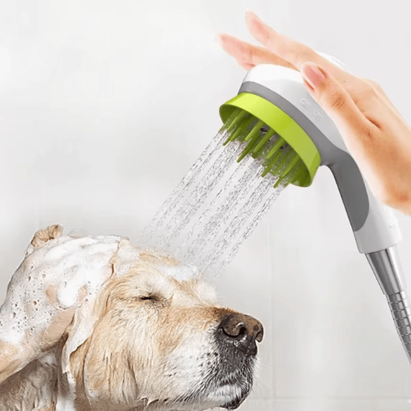 Massage Brush - RANPAW