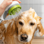 Massage Brush - RANPAW