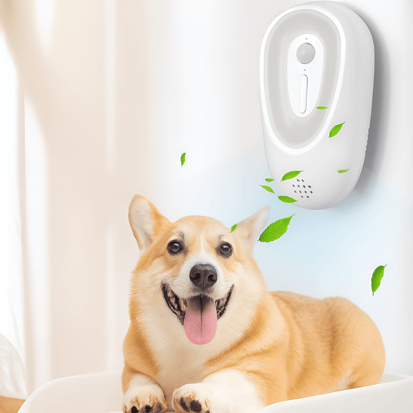 Odor Purifier - RANPAW