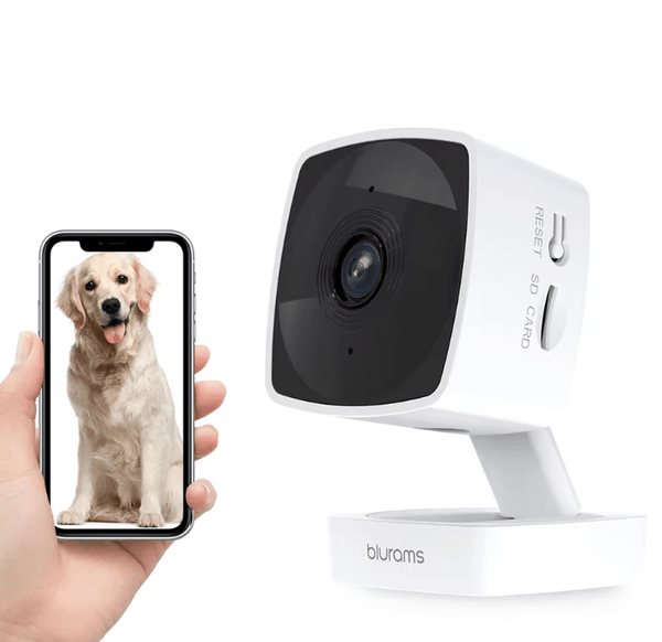 Pet Dog Security Camera - RANPAW