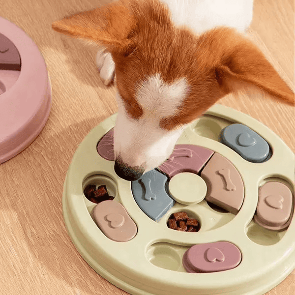 Puzzle Feeding Tray - RANPAW