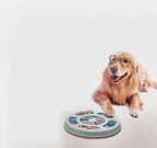 Puzzle Feeding Tray - RANPAW