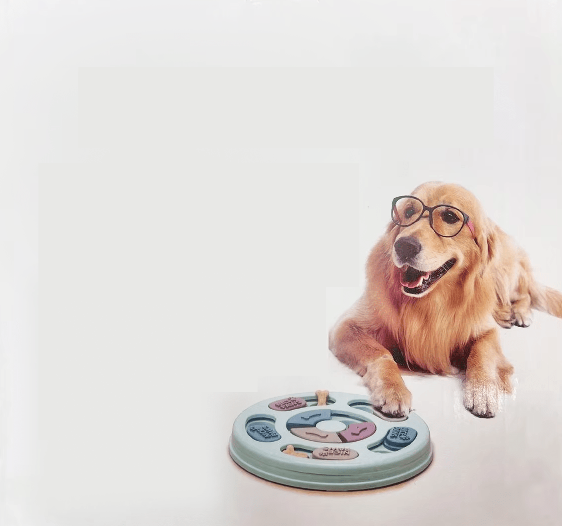 Puzzle Feeding Tray - RANPAW