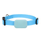 Real - Time Tracking Collar - RANPAW