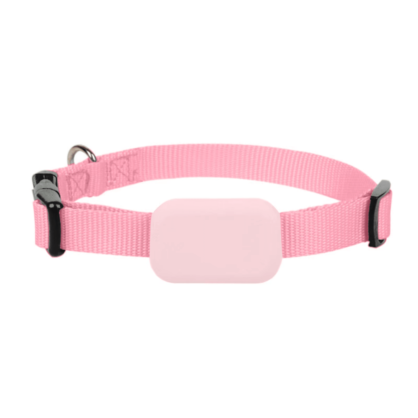 Real - Time Tracking Collar - RANPAW