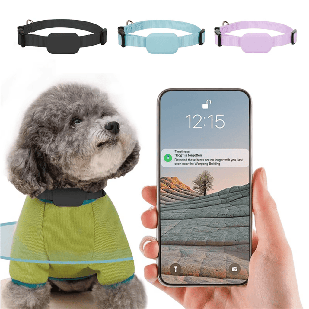 Real - Time Tracking Collar - RANPAW