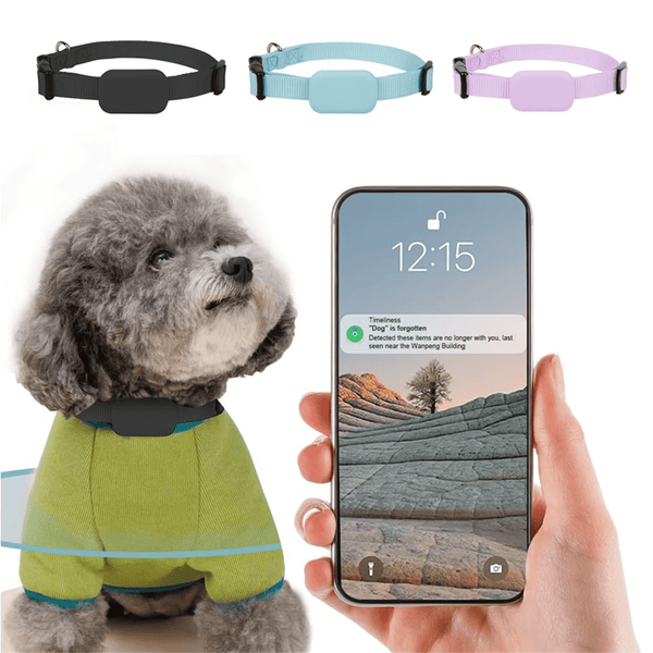 Real - Time Tracking Collar - RANPAW