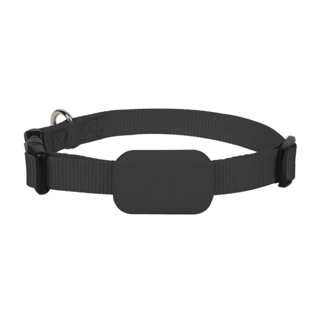 Real - Time Tracking Collar - RANPAW