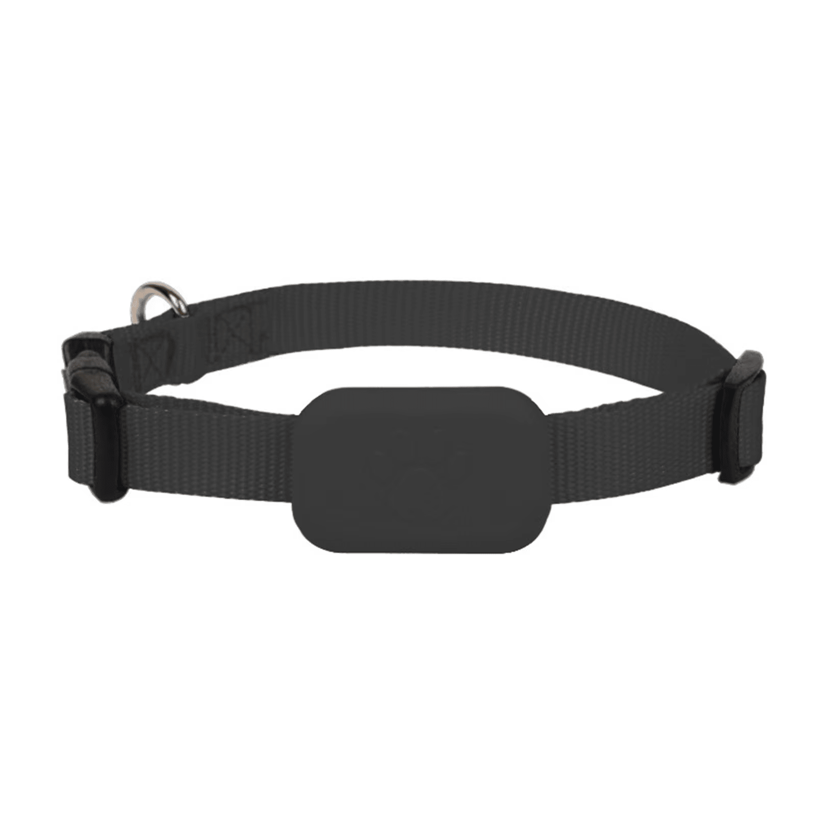 Real - Time Tracking Collar - RANPAW