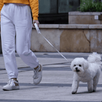 Retractable Dog Leash - RANPAW