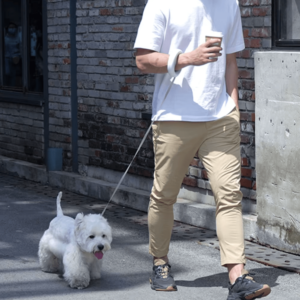 Retractable Dog Leash - RANPAW