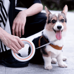 Retractable Dog Leash - RANPAW