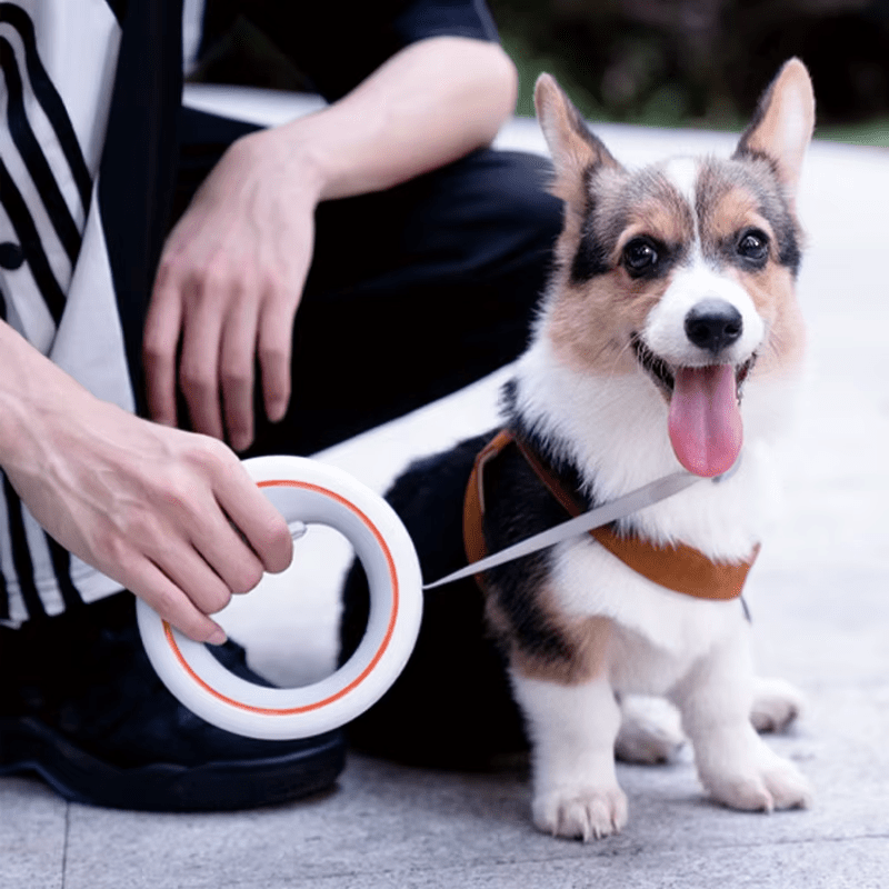 Retractable Dog Leash - RANPAW