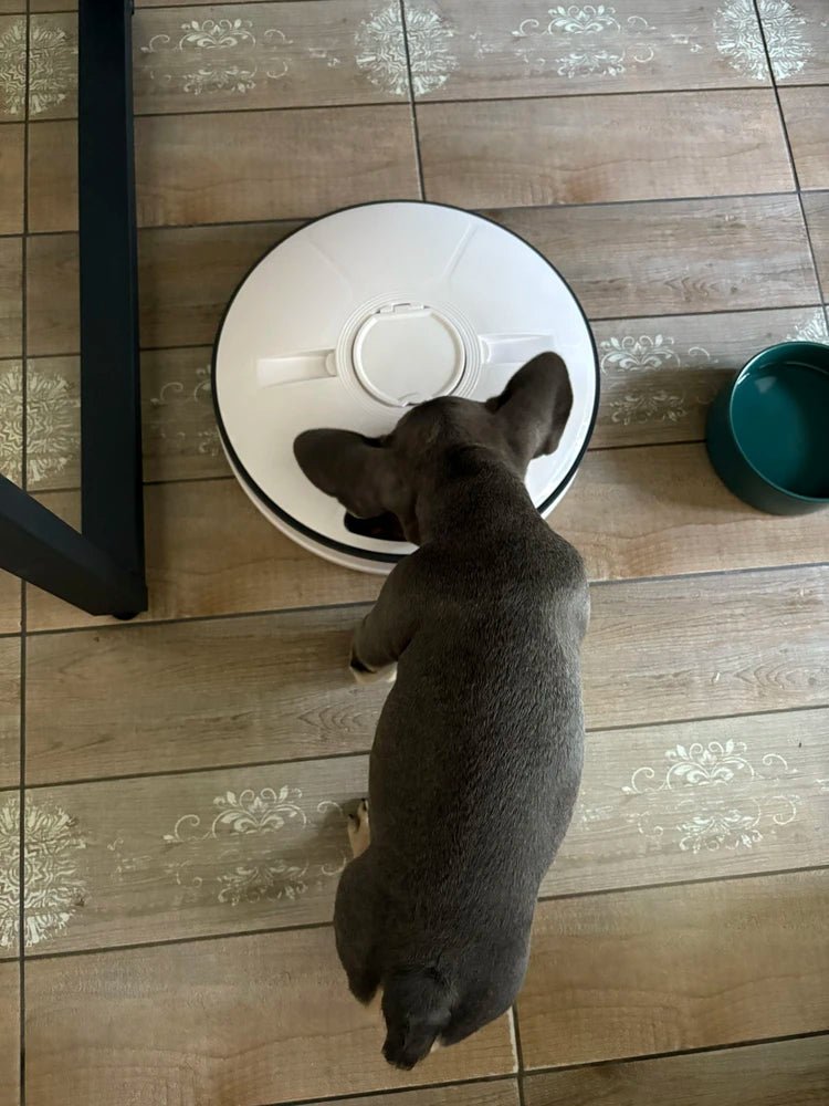 Round Automatic Feeder - RANPAW