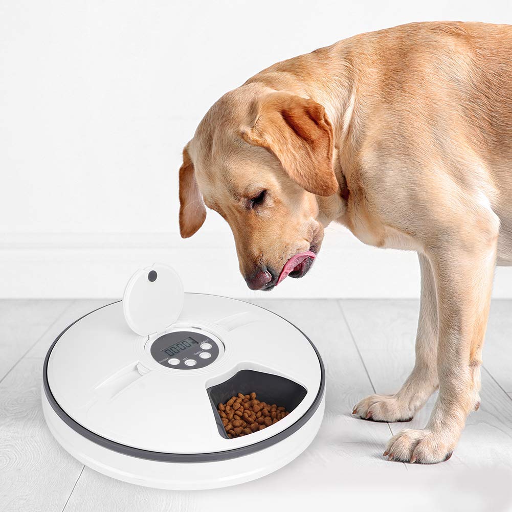 Round Automatic Feeder - RANPAW