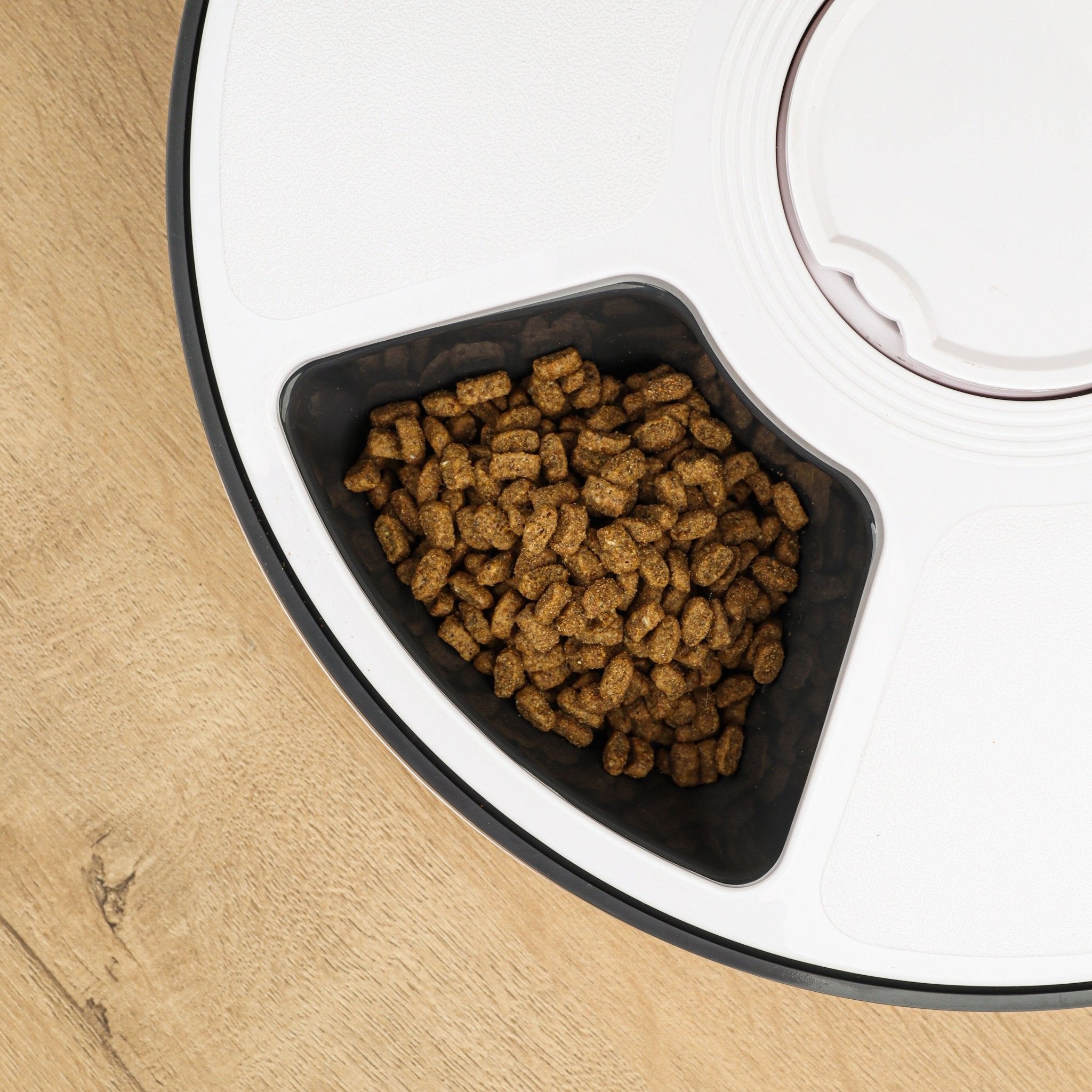 Round Automatic Feeder - RANPAW