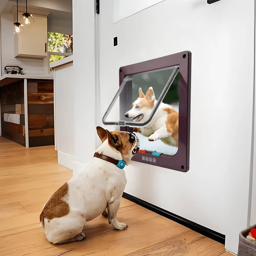 Smart Pet Door - RANPAW