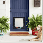 Smart Pet Door - RANPAW