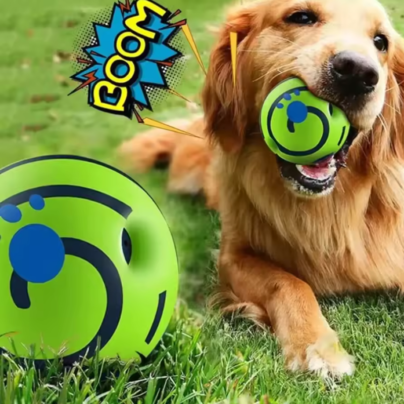 Sound - Emitting Glow Ball - RANPAW